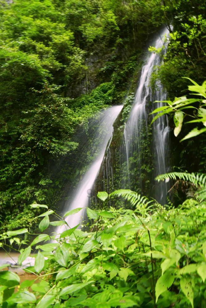 守护飞行城堡